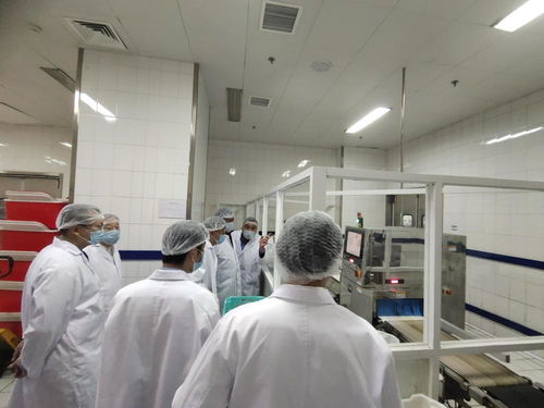 金丰餐饮 全自动化装备赋能盒饭配餐工厂，打造高效保障服务体系